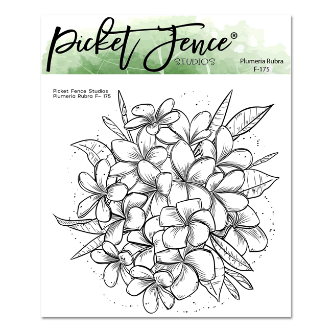 Plumeria rubra â picket fence studios