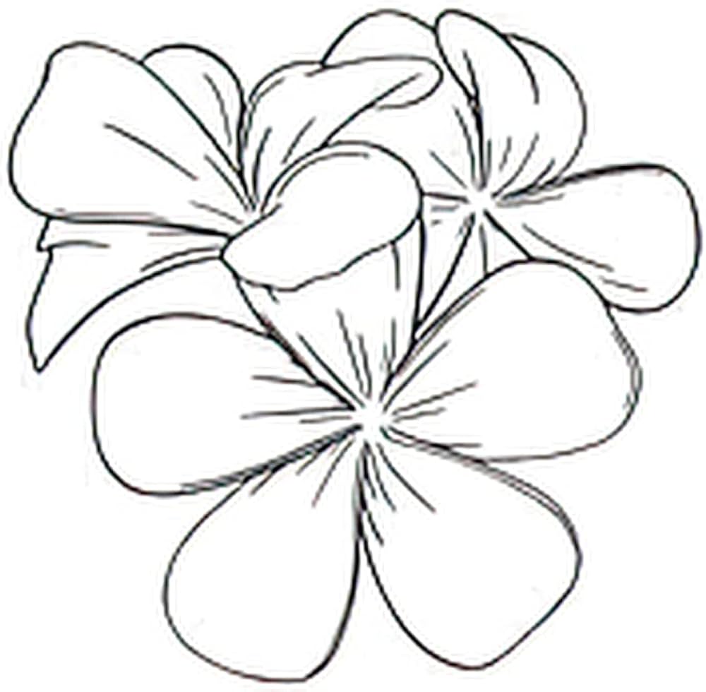 Temporary tattoos sheets frangipani or plumeria tropical flower engraved frangipani in white ba tattoo stickers for adult kids women men arms legs chest waist neck x inch flower tattoo
