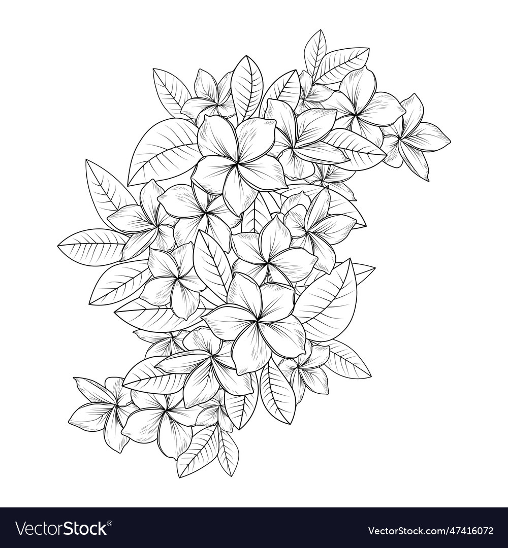 Frangipani tattoo designs plumeria doodle sticker vector image