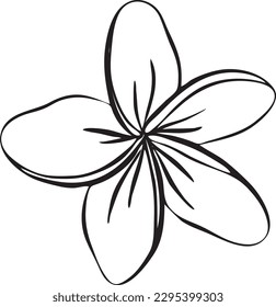 Plumeria vector art graphics