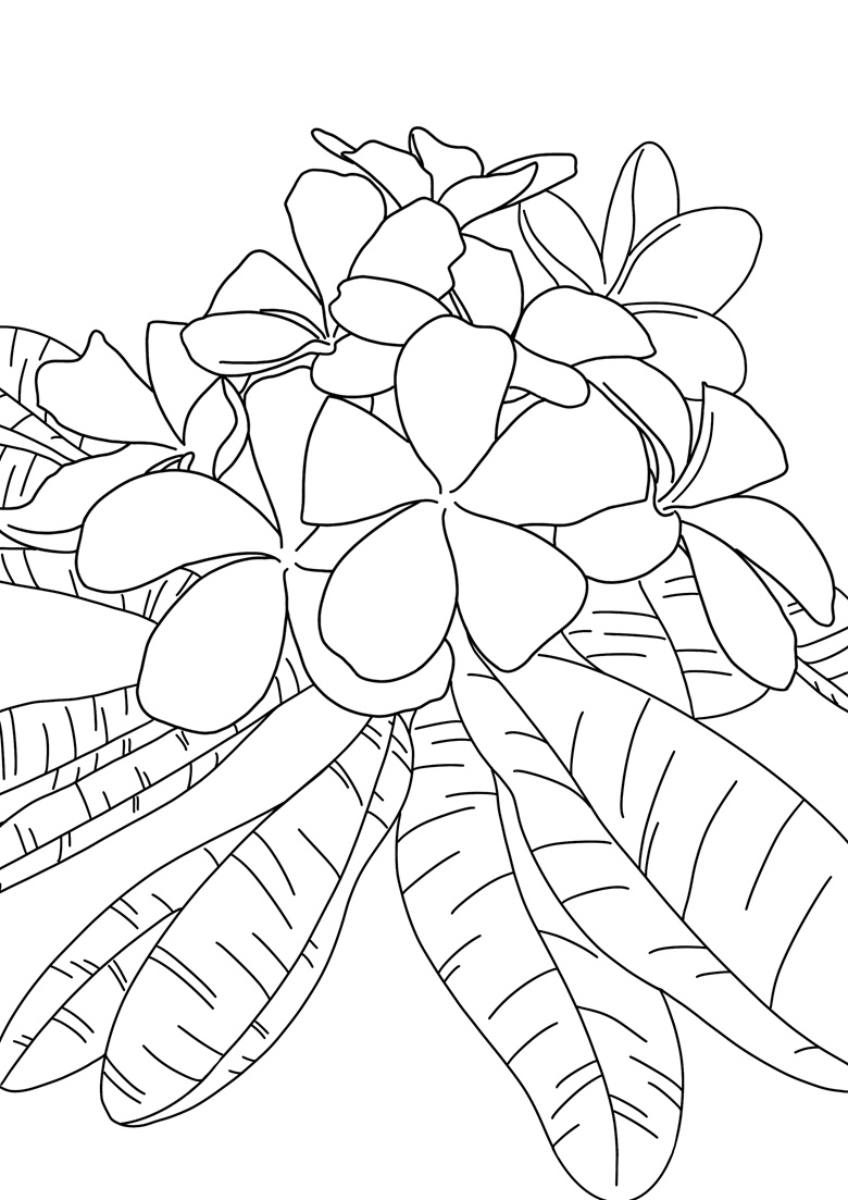 Flower coloring pages bundle