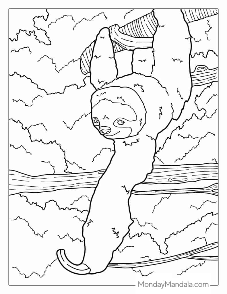 Sloth coloring pages free pdf printables