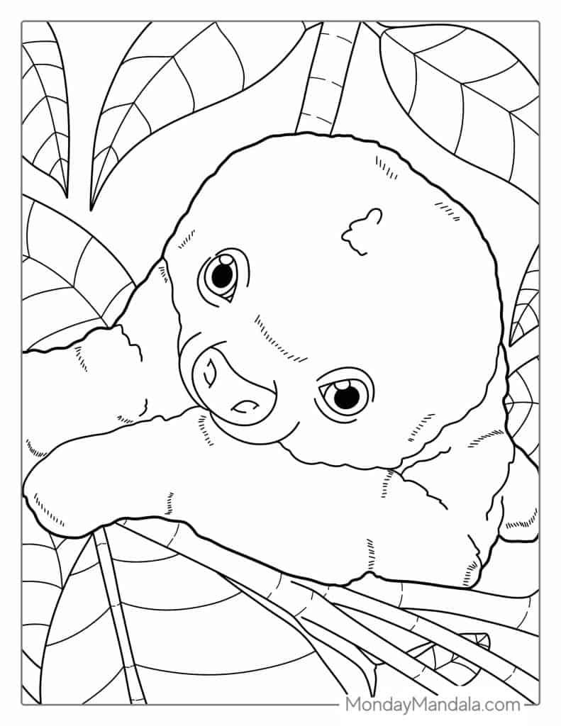Sloth coloring pages free pdf printables