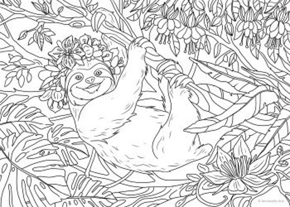 Sloth printable adult coloring page from favoreads coloring book pages for adults and kids coloring sheets coloring designs instant download