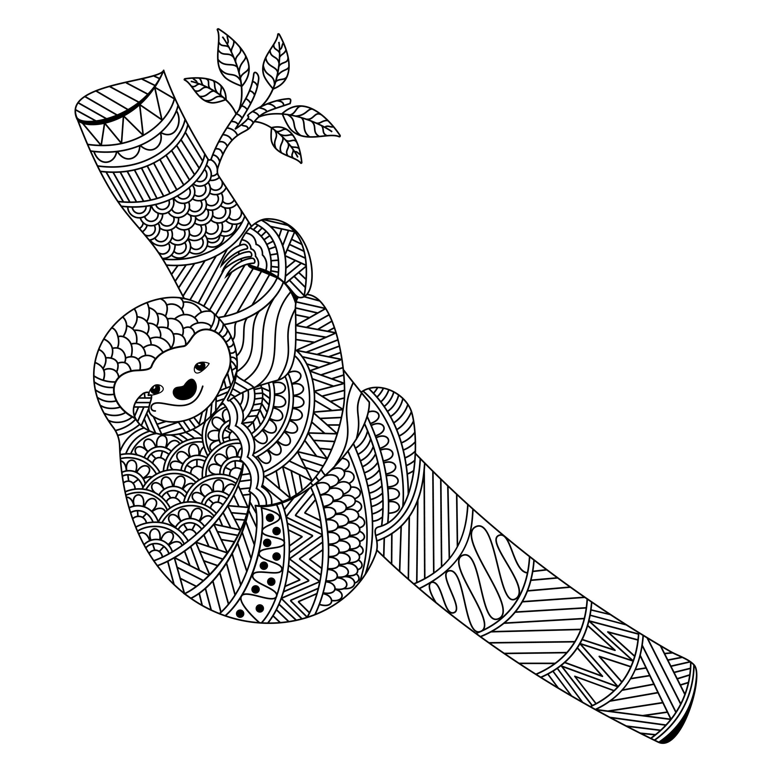 Sloth coloring book for adults teens sloth coloring book gift christmas birthday approx x cm p softcover