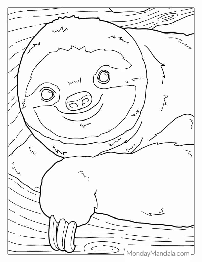 Sloth coloring pages free pdf printables