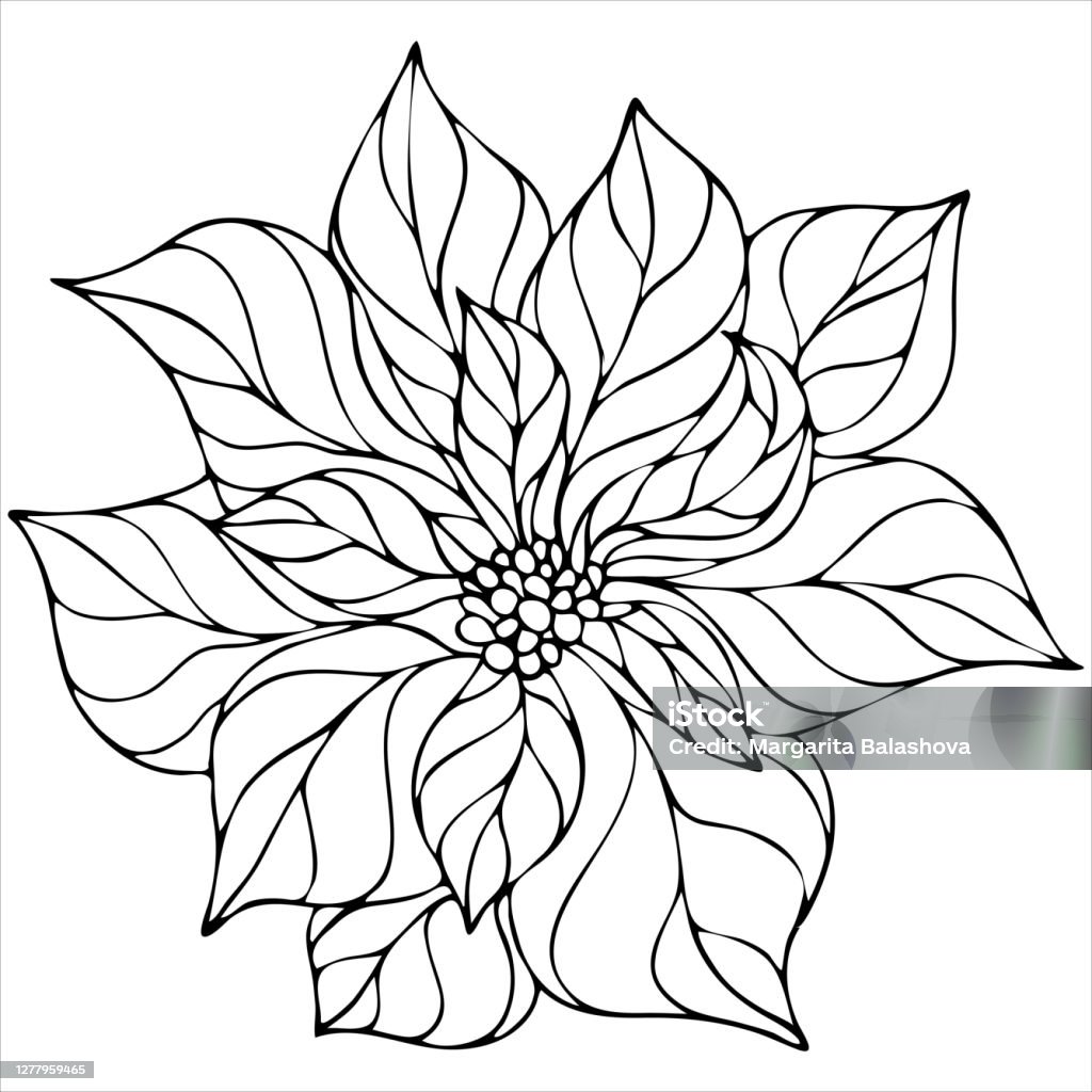Poinsettia flower christmas star vector element christmas coloring book stock illustration