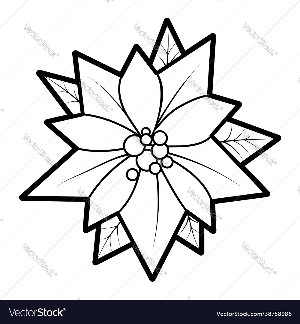 Christmas coloring book or page poinsettia black vector image