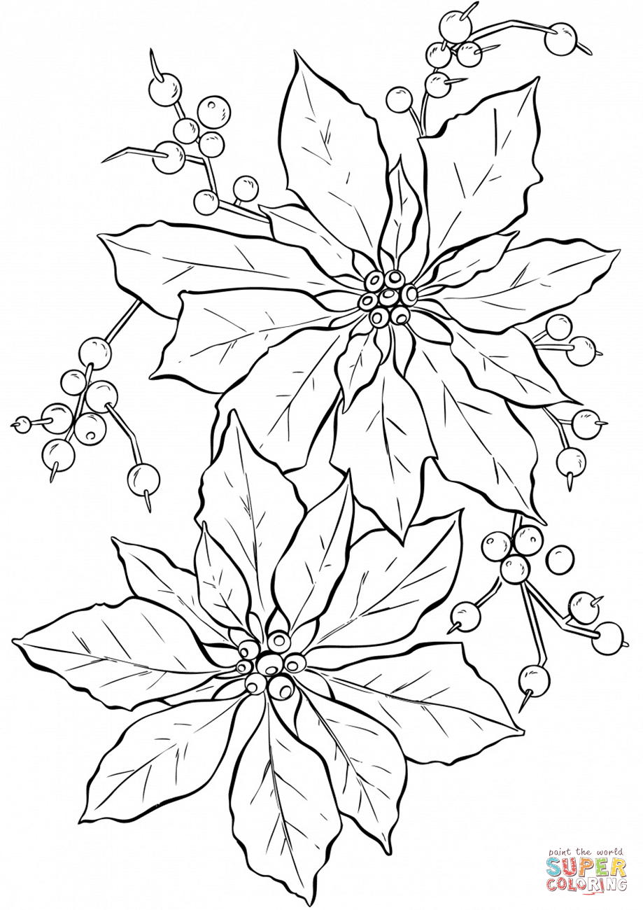 Poinsettia flower coloring page free printable coloring pages
