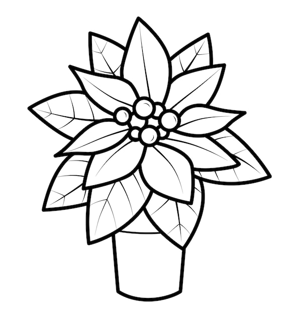 Premium vector christmas coloring book or page for kids poinsettia black and white vector illustration
