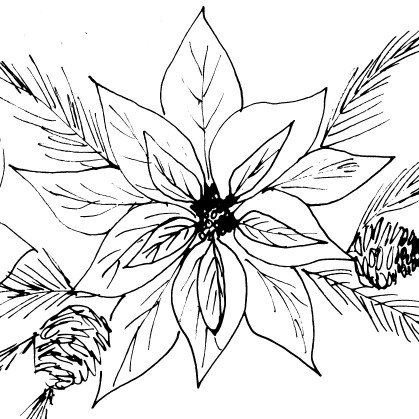 Vintage poinsettia sketch diane antone studio