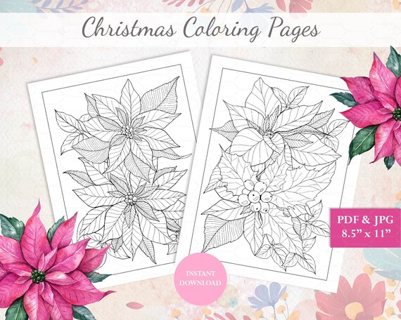 Christmas coloring pages poinsettia coloring adult coloring pages floral coloring pages for adults coloring at home home activity instant download