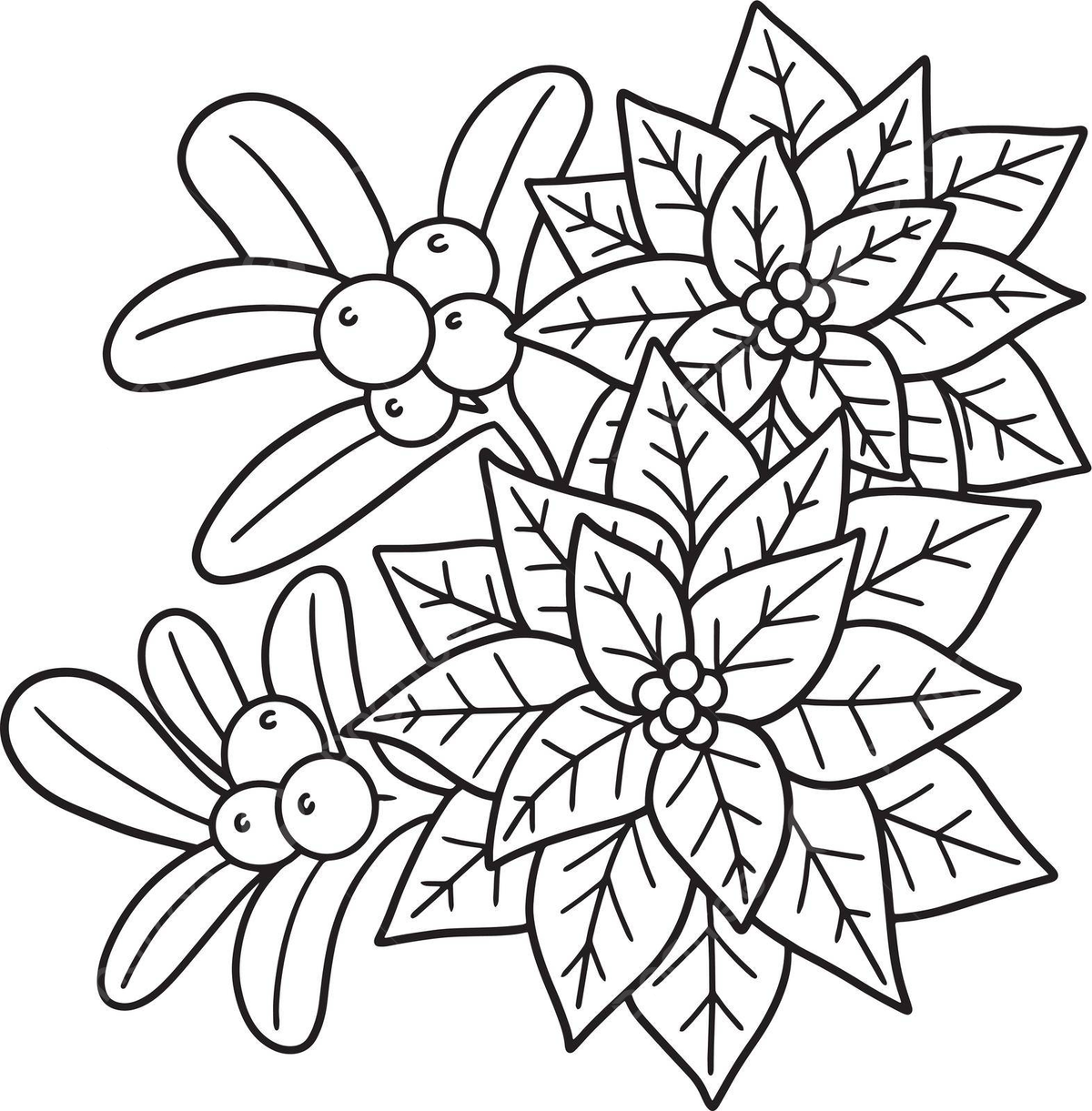 Christmas poinsettia isolated coloring page color jesus kid vector color jesus kid png and vector with transparent background for free download
