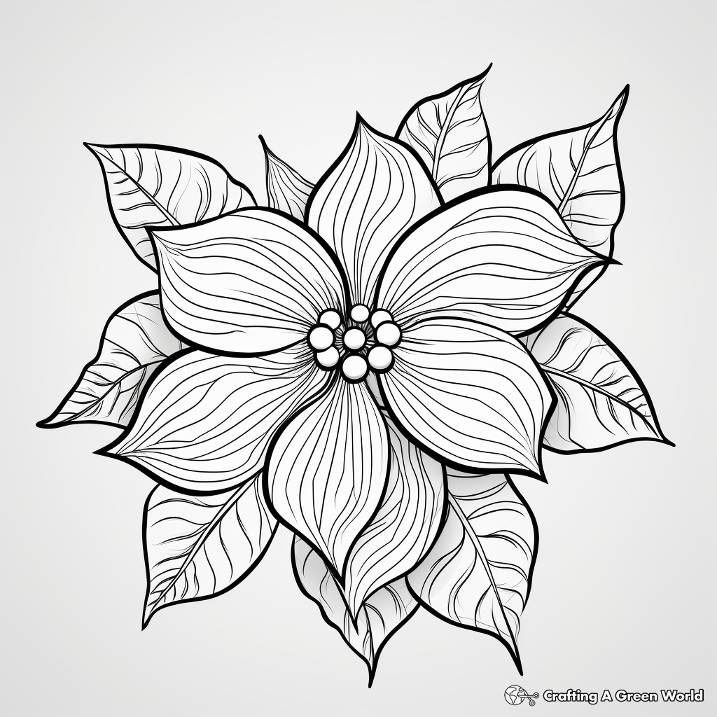 Pointsetta coloring pages