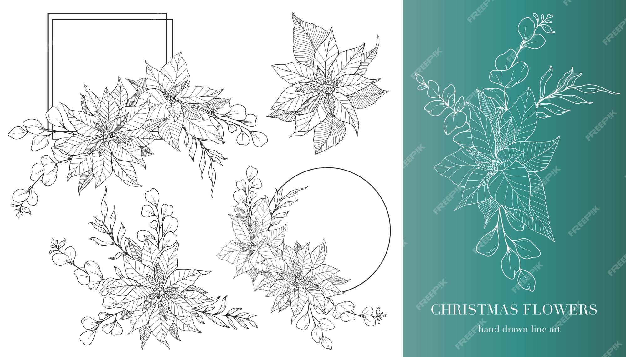 Premium vector floral line art poinsettia flower outline hand drawn christmas flower isolated
