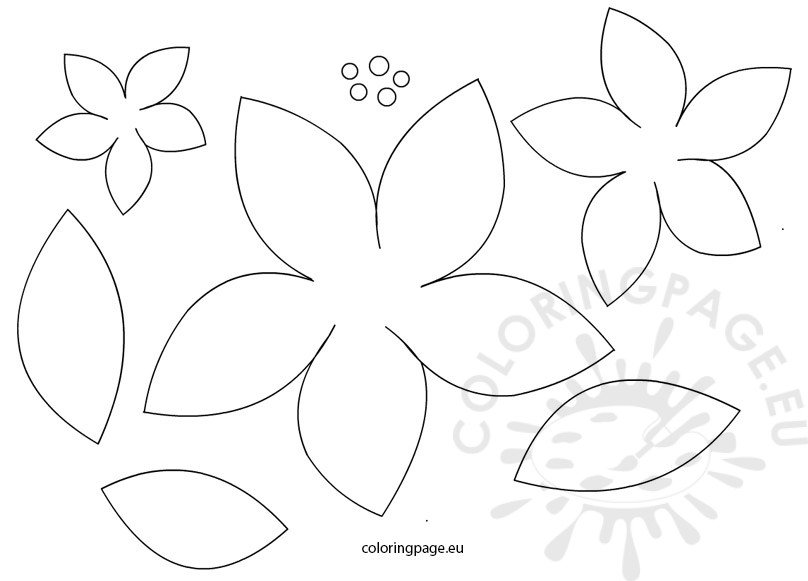 Poinsettia flowers patterns coloring page