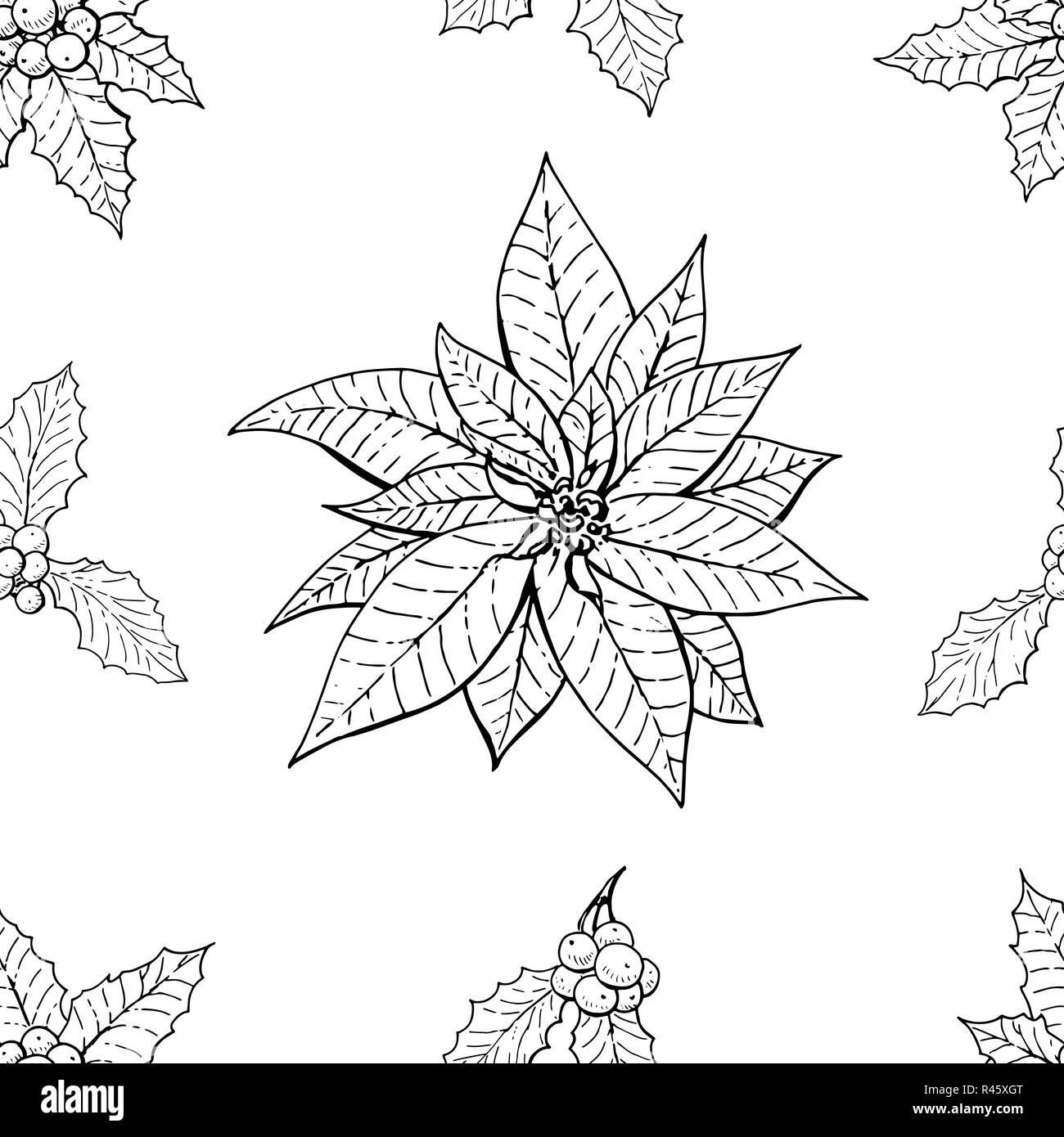 Poinsettia vector vectors black and white stock photos images