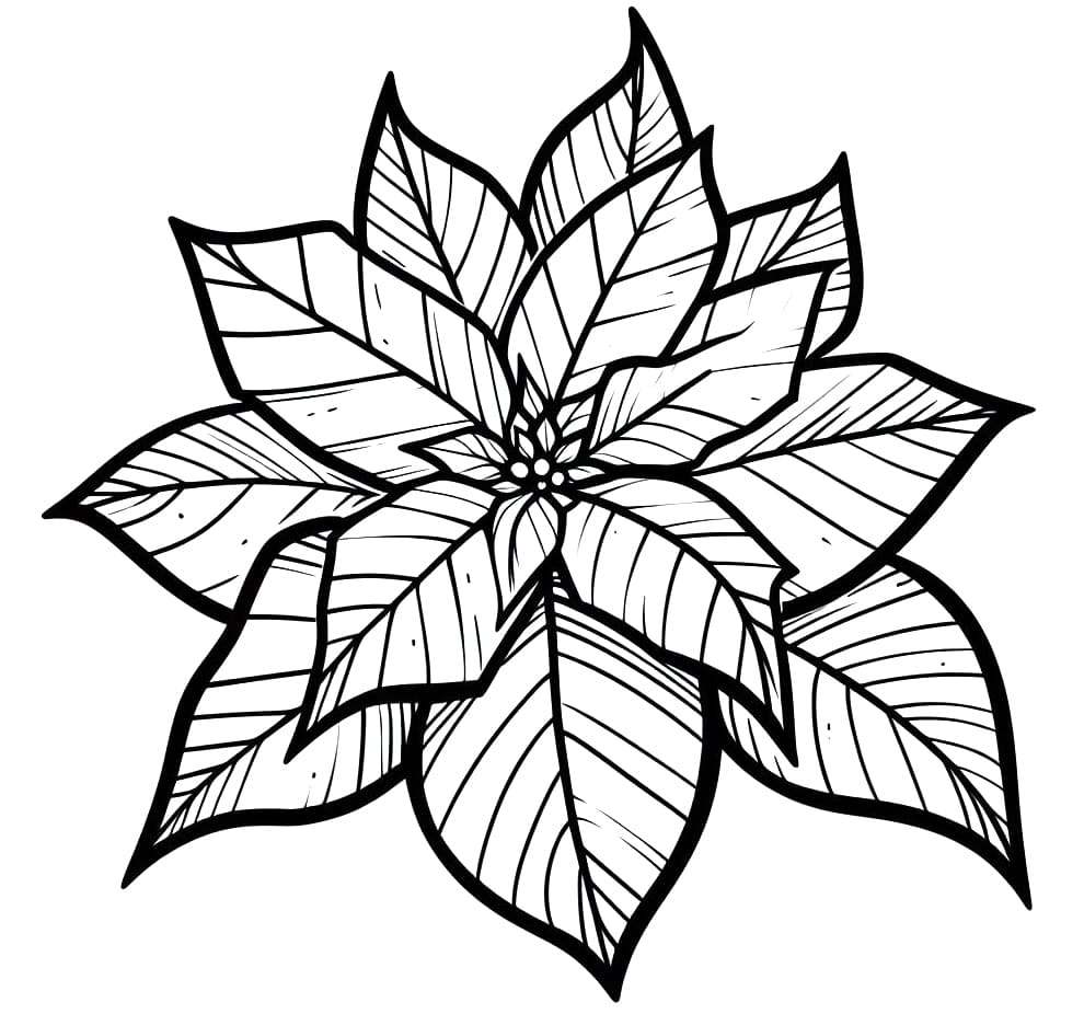 Poinsettia coloring pages