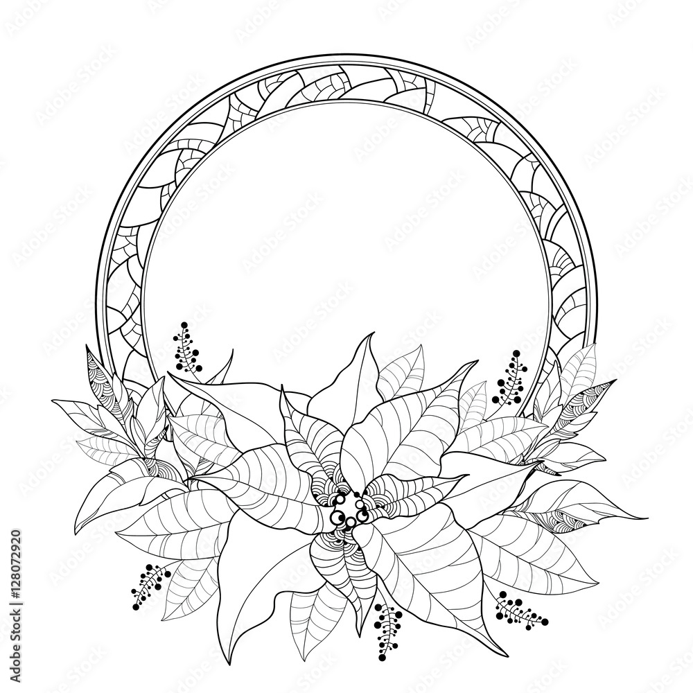 Vector poinsettia or christmas star leaves and ornate round frame isolated on white outline poinsettia flower for winter design and coloring book traditional christmas symbol in contour style vector
