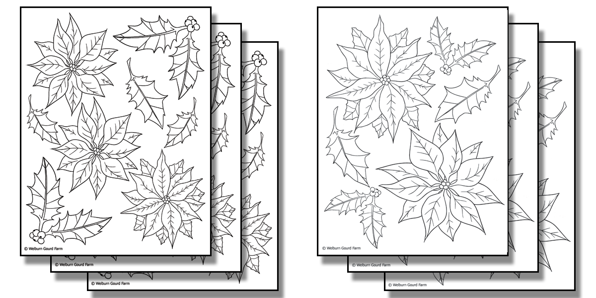 Stick n burn multiples poinsettia pack
