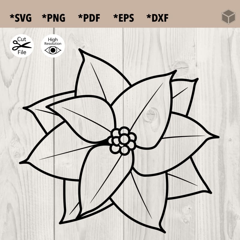 Poinsettia outline svg file the digital files â tdfcrafty