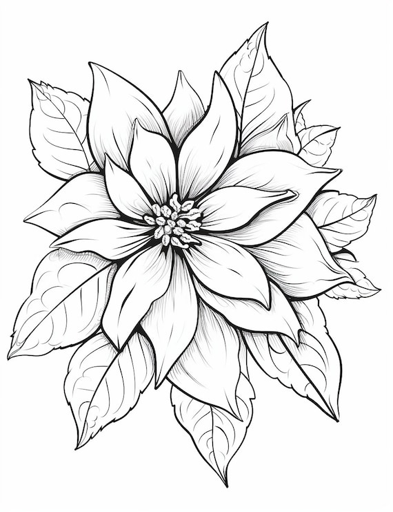 Poinsettia flower coloring page flower portrait printable coloring page journal coloring for adults instant download mercial use
