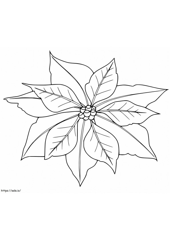 Poinsettia coloring coloring pages