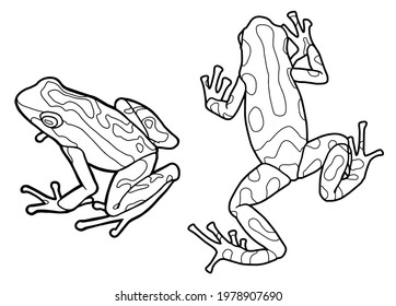 Little frog spotted poison dart frog vector de stock libre de regalãas