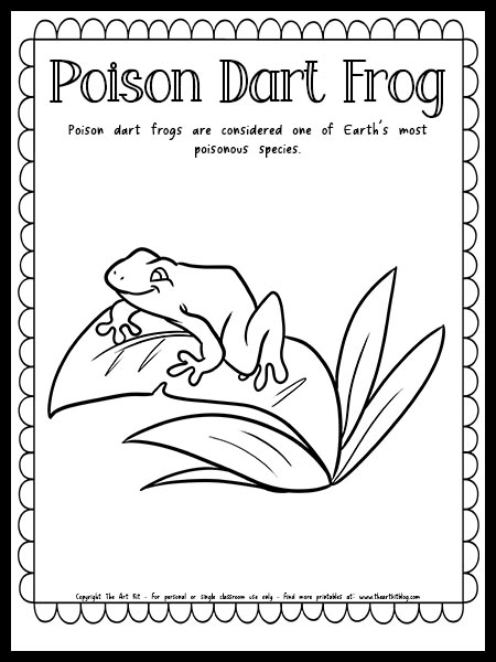 Poison dart frog coloring page with fun fact free printable download â the art kit