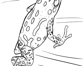 Poison dart frog coloring pages download now