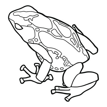 Poison dart frogs images â browse photos vectors and video