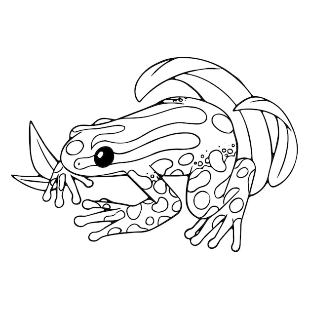 Premium vector outline ranitomeya amazonica sits in grass poison dart frog toad with patterned skin venomous amphibian animal exotic fauna coloring book lineart isolated vector illustration on white background