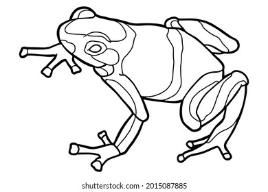 Little frog spotted poison dart frog stockvektor royaltyfri