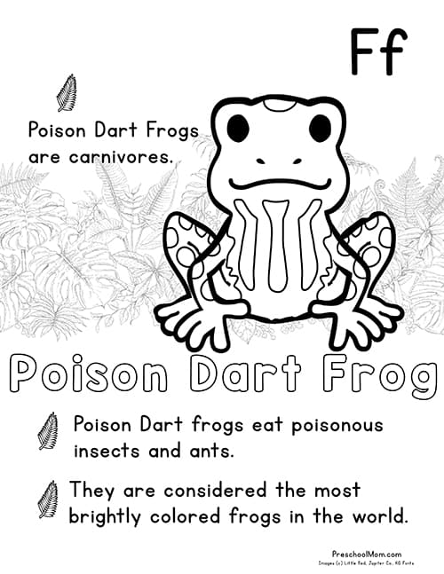 Rainforest coloring pages