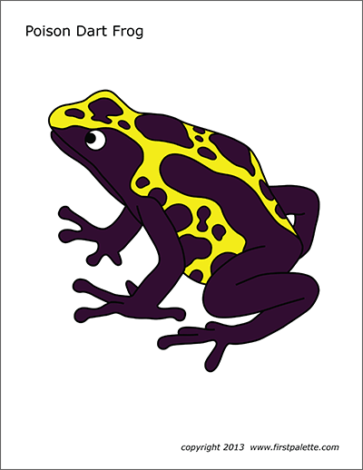 Posion dart frog free printable templates coloring pages