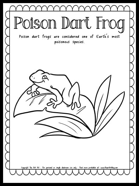 Poison dart frog coloring page with fun fact free printable download â the art kit