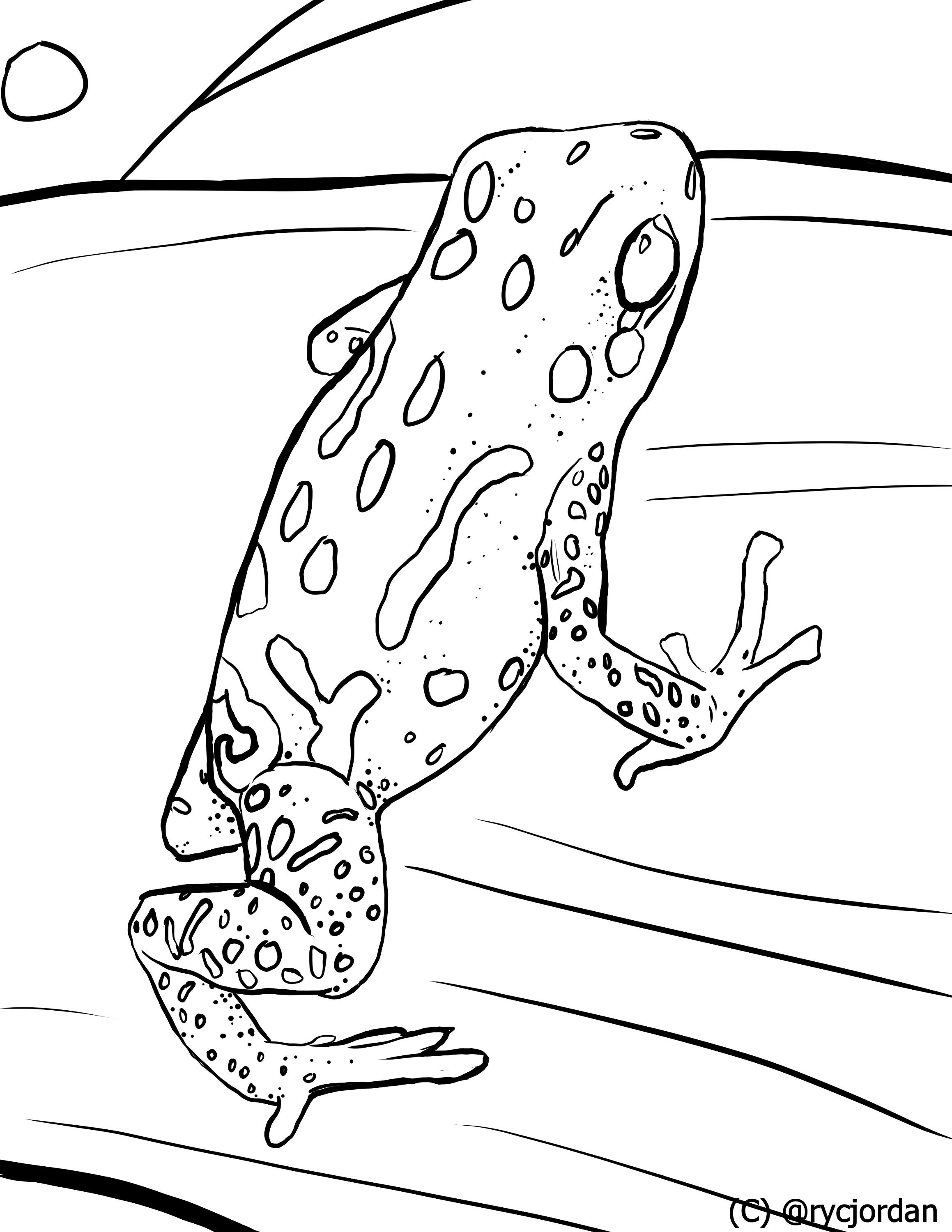 Poison dart frog coloring pages download now
