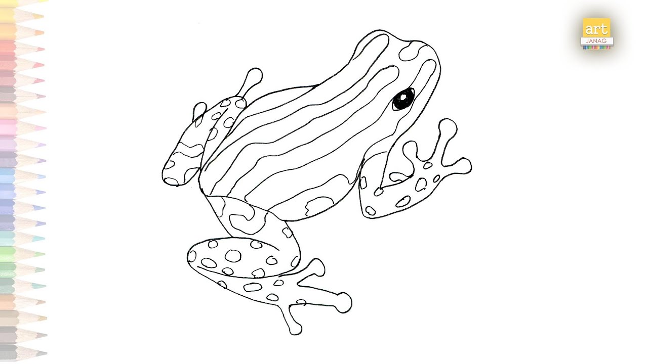 Pasco poison frog drawing how to draw poison frog step by step step by step drawing tutorials