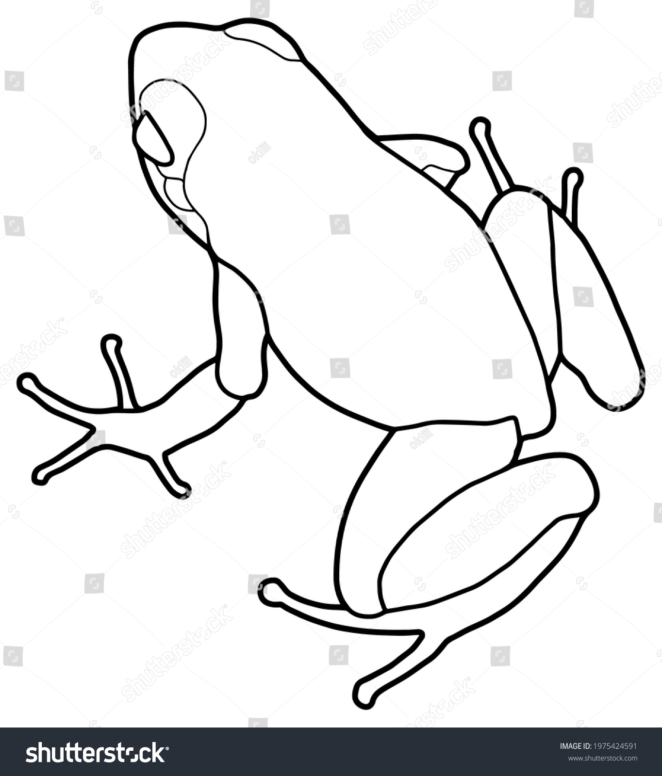 Little frog spotted poison dart frog stock vector royalty free
