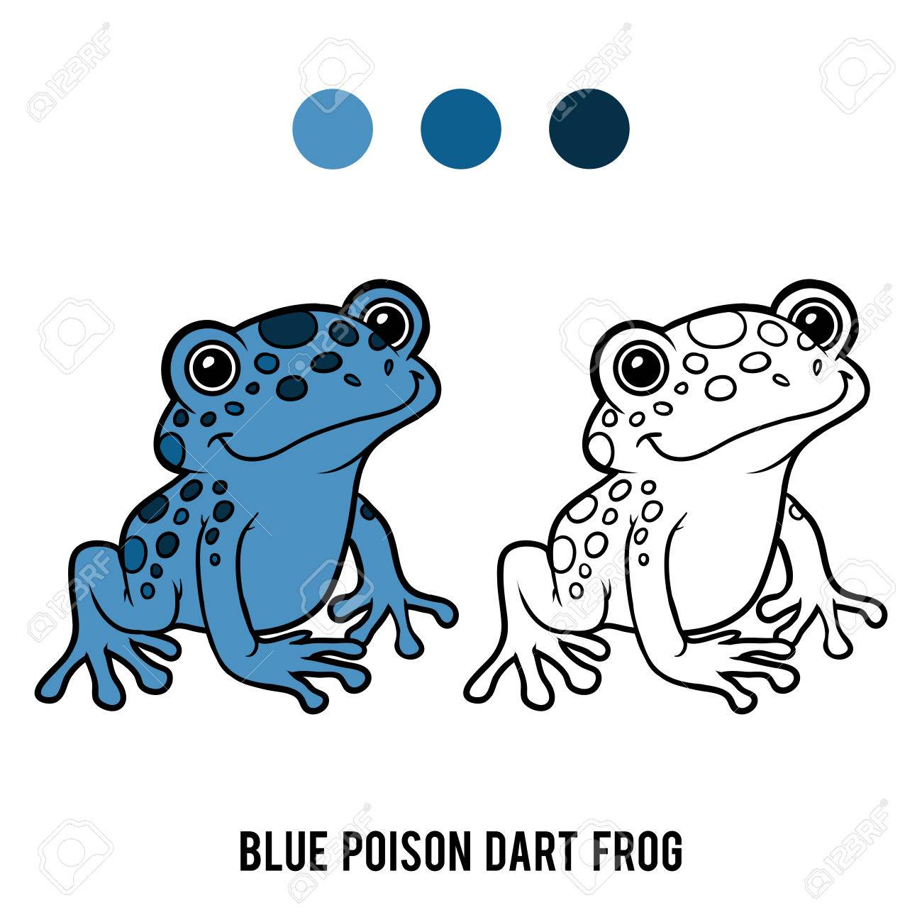 Coloring book for children blue poison dart frog royalty free svg cliparts vectors and stock illustration image