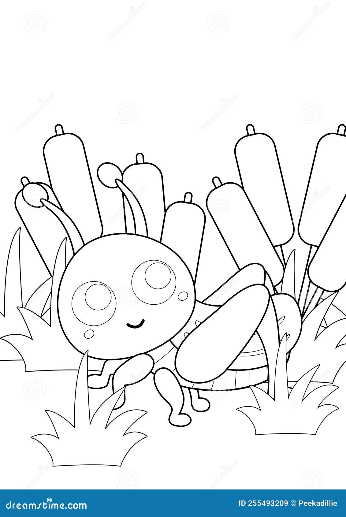 Cute grasshopper insects animals coloring pages for kids and adult stock illustration