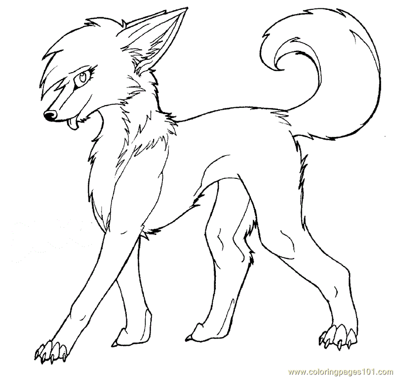 Coloring pages female wolf animals fox