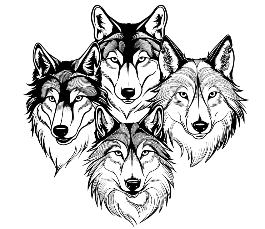 Wolf coloring pages