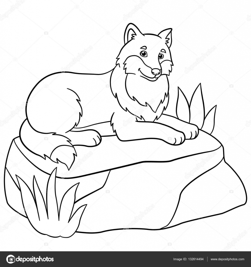 Coloring pages cute beautiful wolf lies on the stone stock vector by ya