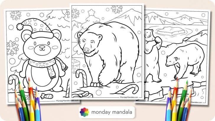 Polar bear coloring pages free pdf printables