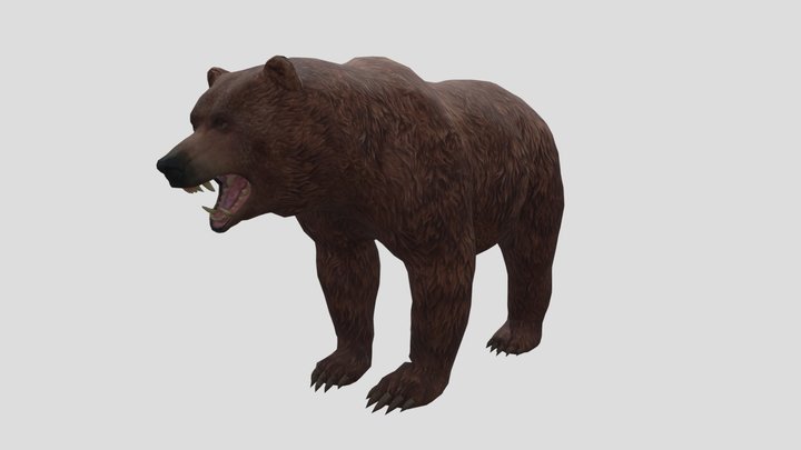 Polar
