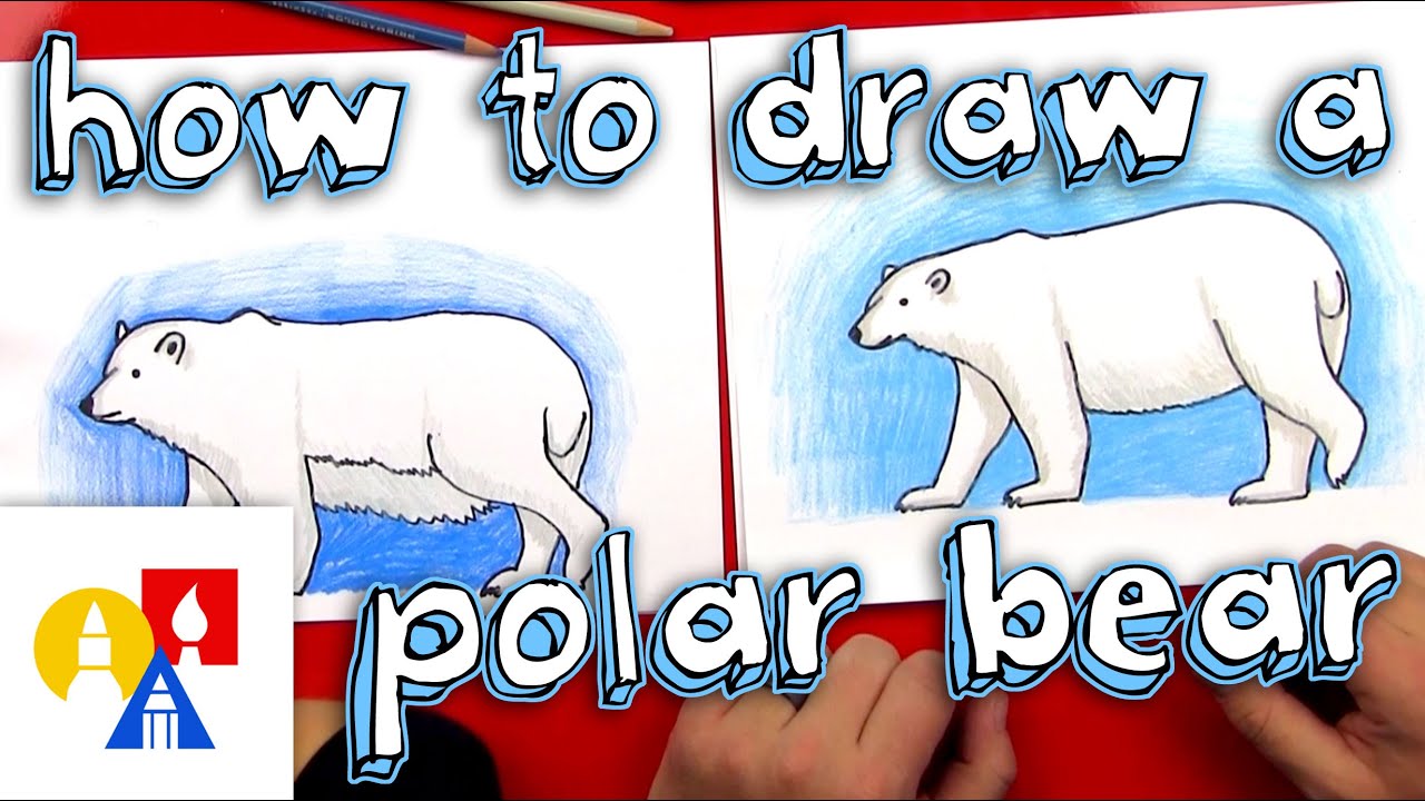How to draw a polar bear realistic