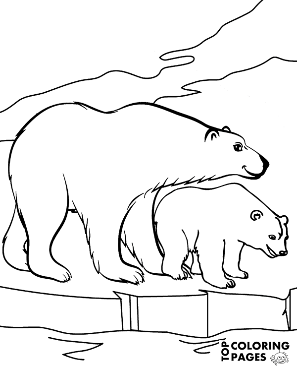 Polar bear coloring page animals