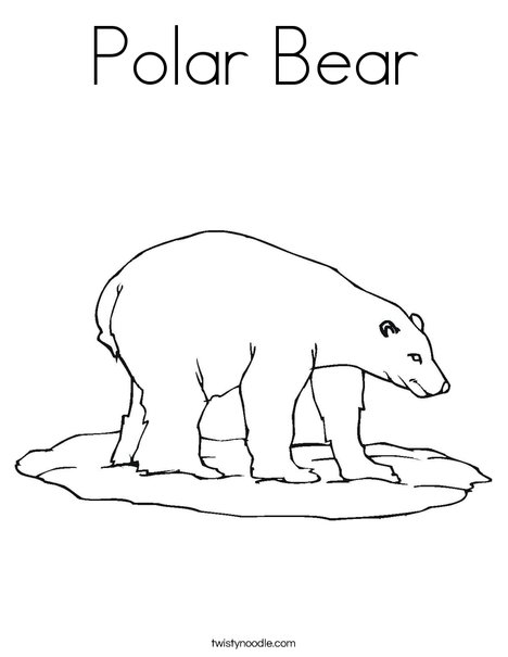 Polar bear coloring page
