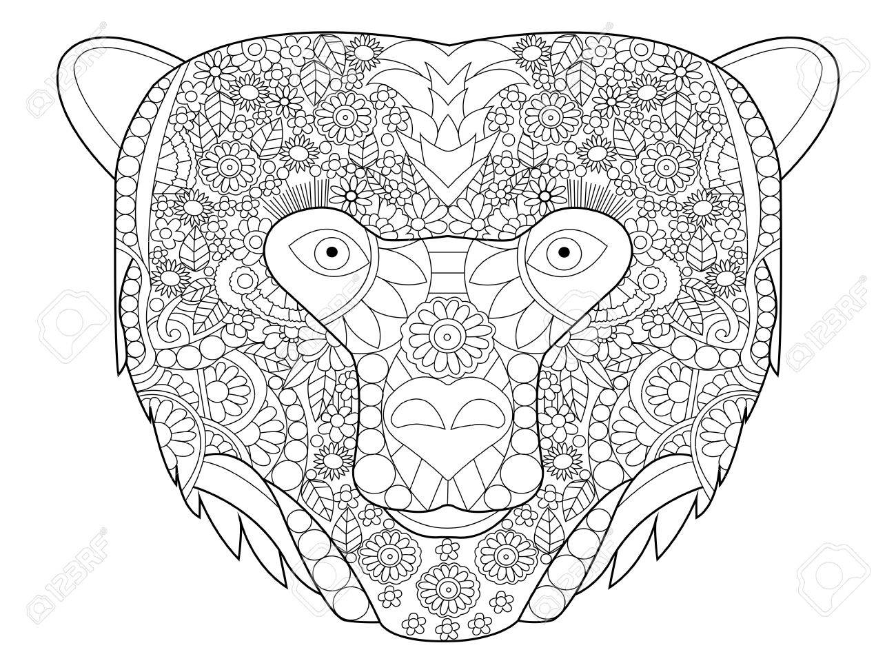 Bear head coloring book for adults vector illustration anti